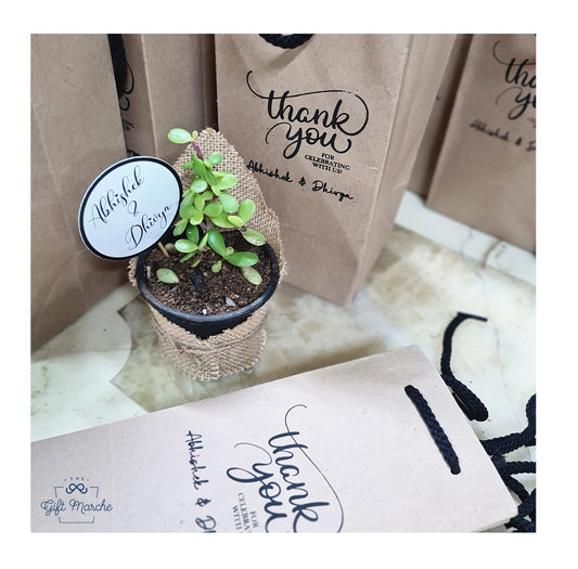 Succulent Return Gift