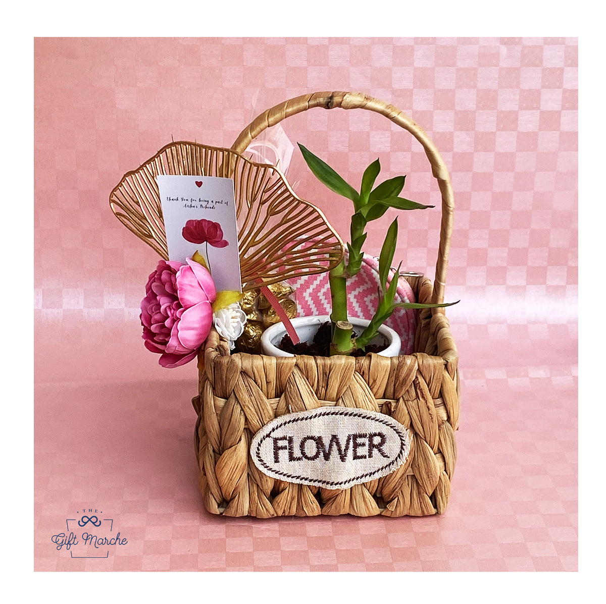 Money Plant Hamper