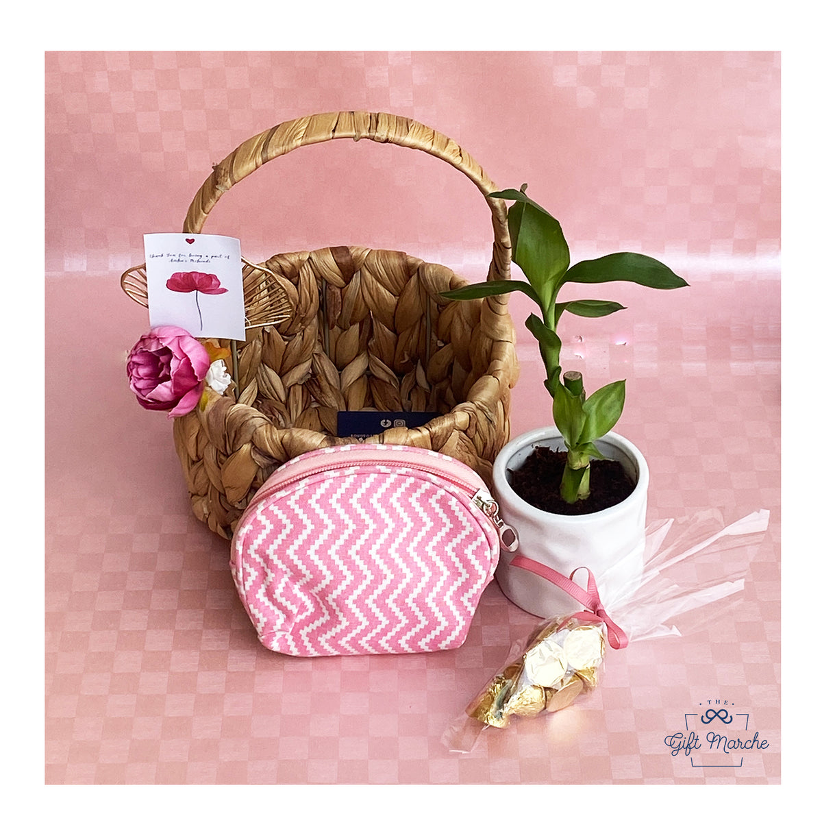 Money Plant Hamper